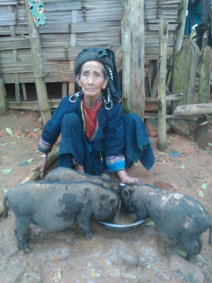 3 Days Luang Namtha Trekking To Akha ethnic villages in Muang Sing